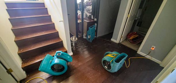 Best Water damage restoration near me  in Huntingdon, TN