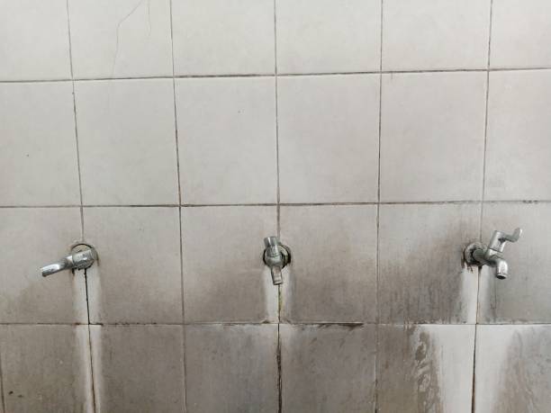 Best Residential water damage restoration  in Huntingdon, TN